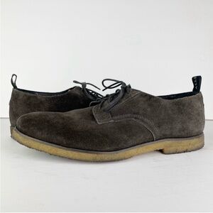 All Saints Leigh Dark Brown Suede Leather Lace Up Casual Shoes Oxford Derby